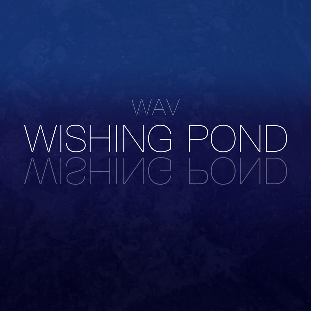 Wishing Pond ✦ 07/20/2025